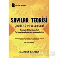 Sayılar Teorisi Çözümlü Problemleri - Gürsel Yeşilot - Birsen Yayınevi