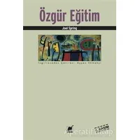 Özgür Eğitim - Joel Spring - Ayrıntı Yayınları