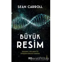 Büyük Resim - Sean Carroll - Alfa Yayınları