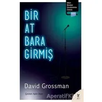 Bir At Bara Girmiş - David Grossman - Siren Yayınları