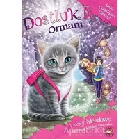Dostluk Ormanı-4 / Bella Çizgilipati Gitmiş! - Daisy Meadows - Beyaz Balina Yayınları