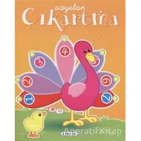 Eğitici Çıkartmalar - Sayılar - Kolektif - Çiçek Yayıncılık