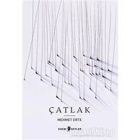 Çatlak - Mehmet Erte - Edebi Şeyler