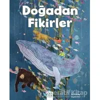 Doğadan Fikirler - Elin Kelsey - 1001 Çiçek Kitaplar