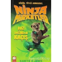 Ninja Mirketler - Buz Dağından Kaçış - Gareth P. Jones - Final Kültür Sanat Yayınları