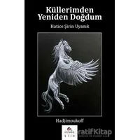 Küllerimden Yeniden Doğdum - Hatice Şirin Uyanık - Ekinoks Yayın Grubu