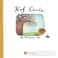 Kof Ceviz - Işıl Erverdi - Kumdan Kale
