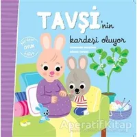 Tavşinin Kardeşi Oluyor - Kolektif - Doğan Egmont Yayıncılık