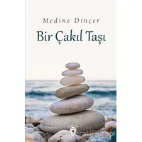 Bir Çakıl Taşı - Medine Dinçer - Dorlion Yayınları