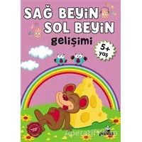 Sağ Beyin - Sol Beyin Gelişimi +5 Yaş - Kolektif - Beyaz Panda Yayınları