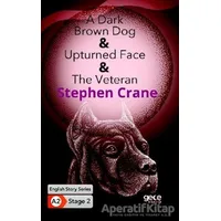 A Dark Brown Dog - Upturned Face - The Veteran - İngilizce Hikayeler A2 Stage 2