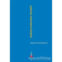 Taşıran Damlanın Cesareti - Abbas Karakaya - El Yayınları