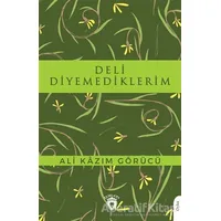 Deli Diyemediklerim - Ali Kazım Görücü - Dorlion Yayınları