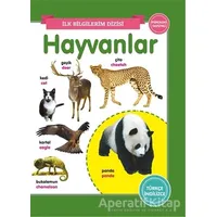 Hayvanlar - İlk Bilgilerim Dizisi - Kolektif - 0-6 Yaş Yayınları