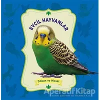 Dokun ve Hisset: Evcil Hayvanlar - Kolektif - 0-6 Yaş Yayınları