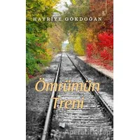 Ömrümün Treni - Hayriye Gökdoğan - Karina Yayınevi