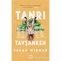 Tanrı Tavşanken - Sarah Winman - Yabancı Yayınları