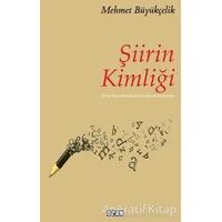 Şiirin Kimliği - Mehmet Büyükçelik - Ozan Yayıncılık