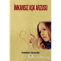 İmkansız Aşk Arzusu - Esedullah S. Recepoğlu - Tilki Kitap