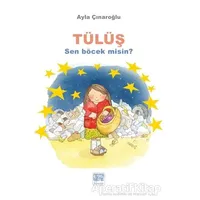 Tülüş - Ayla Çınaroğlu - Nota Bene Yayınları