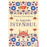 Ay Işığında İstanbul - Sophie Goldberg - Destek Yayınları