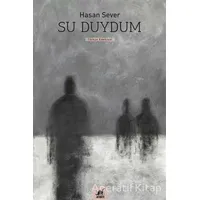 Su Duydum - Hasan Sever - Ayrıntı Yayınları