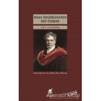 İnsan Özgürlüğünün Özü Üzerine - Friedrich Wilhelm Joseph von Schelling - Ayrıntı Yayınları
