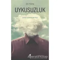 Uykusuzluk - Jim Horne - Ayrıntı Yayınları
