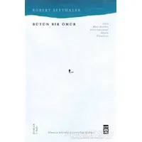 Bütün Bir Ömür - Robert Seethaler - Timaş Yayınları