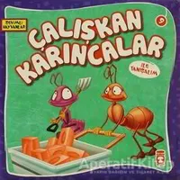 Çalışkan Karıncalar ile Tanışalım - Kolektif - Timaş Çocuk