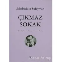 Çıkmaz Sokak - Şahabeddin Süleyman - Agora Kitaplığı