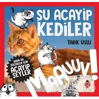 Daha da Küçükler İçin Şu Acayip Kediler - Daha da Küçükler İçin Acayip Şeyler 1