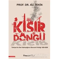 Kısır Döngü - Ali Tekin - İnkılap Kitabevi