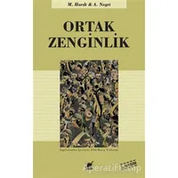 Ortak Zenginlik - Antonio Negri - Ayrıntı Yayınları