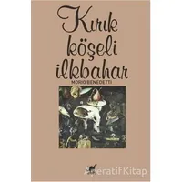 Kırık Köşeli İlkbahar - Mario Benedetti - Ayrıntı Yayınları