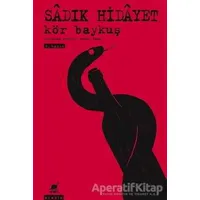 Kör Baykuş - Sadık Hidayet - Ayrıntı Yayınları