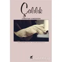 Çalılık - Christian Jungersen - Ayrıntı Yayınları