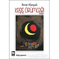 Keşiş Örümceği - Berat Alanyalı - Bilgi Yayınevi