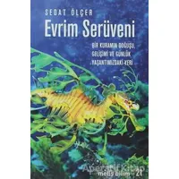 Evrim Serüveni - Sedat Ölçer - Metis Yayınları