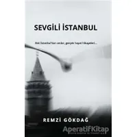 Sevgili İstanbul - Remzi Gökdağ - E Yayınları