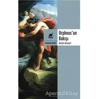 Orpheusun Bakışı - Ahmet Bozkurt - Ayrıntı Yayınları