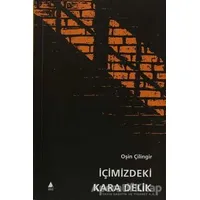 İçimizdeki Kara Delik - Oşin Çilingir - Aras Yayıncılık