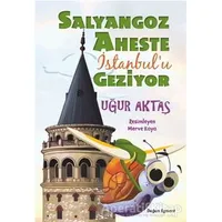 Salyangoz Aheste İstanbulu Geziyor - Uğur Aktaş - Doğan Egmont Yayıncılık