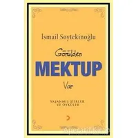 Gönülden Mektup Var - İsmail Soytekinoğlu - Cinius Yayınları