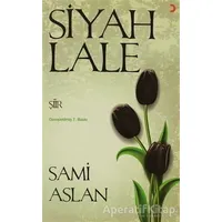 Siyah Lale - Sami Aslan - Cinius Yayınları