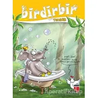 Birdirbir - Temizlik - Kolektif - EDAM