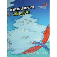 A Bird Landed on an Igloo - Leadership - Neriman Karatekin - EDAM
