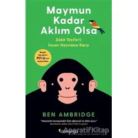 Maymun Kadar Aklım Olsa - Ben Ambridge - Domingo Yayınevi