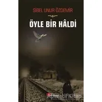 Öyle Bir Haldi - Sibel Unur Özdemir - Berikan Yayınevi