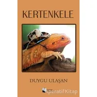 Kertenkele - Duygu Ulaşan - Karina Yayınevi